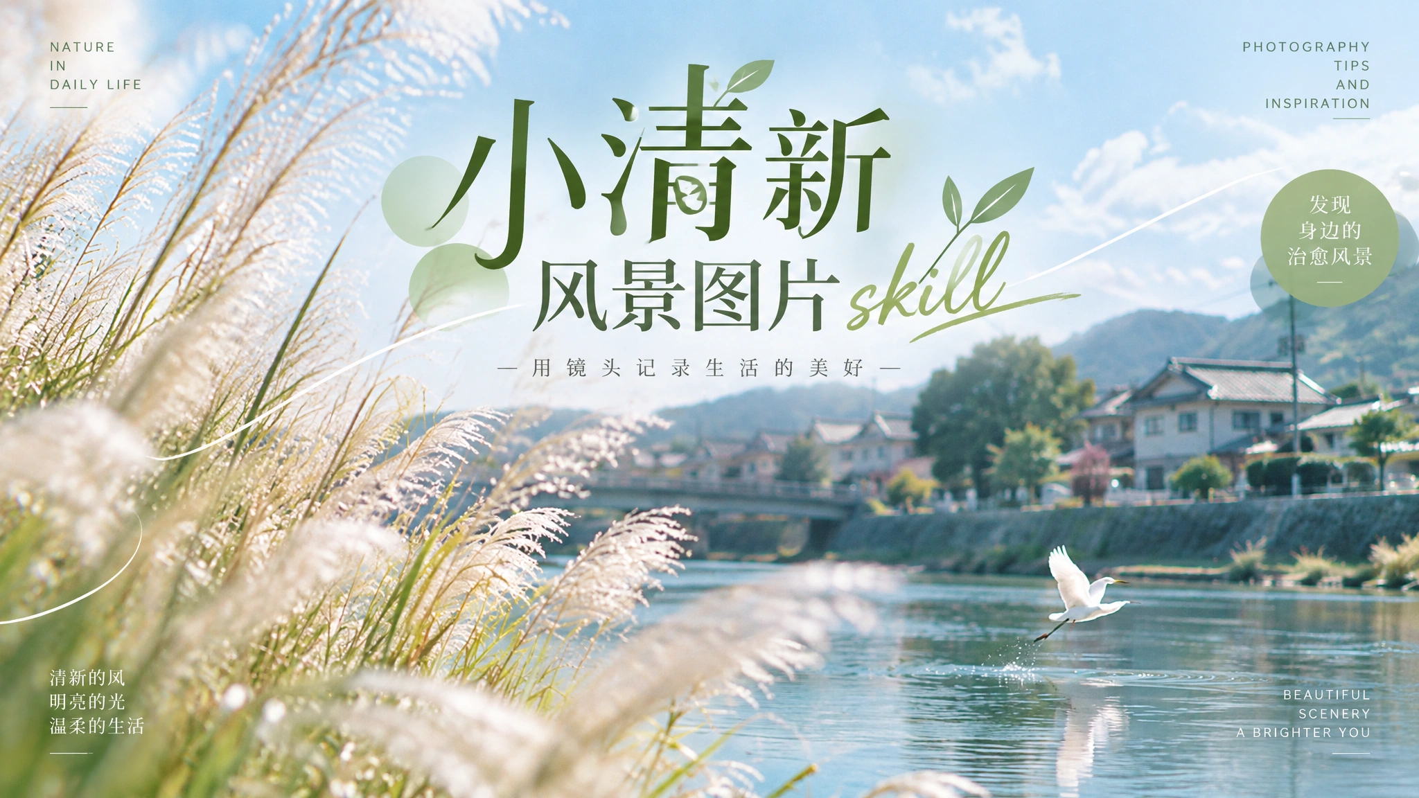 小清新 Skill封面